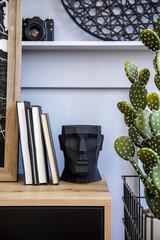 Stylish scandinavian composition with wooden commode,  design plant pot, retro photo camera, books, cacti, decoration and elegnat personal accessories in modern concept. © FollowTheFlow