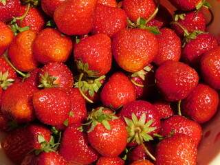 strawberries in a basket
