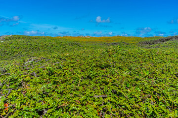宮古島　東平安名崎の風景