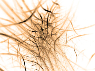Obraz premium abstract fractal background with crossed lines