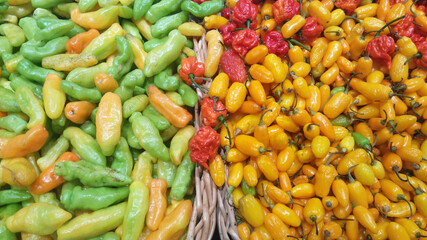 Many kinds of  pepper, Sao Paulo, Brazil