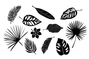 Tropical exotic leaves of palm, monstera, coconut, banana tree. Set of elements, vector illustrated, black and white, silhouette.