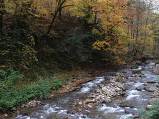 river in autumn