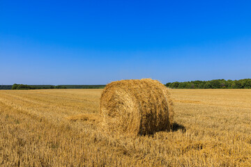 Rolls of haystacks on the field as agriculture harvest concept