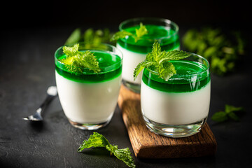 Dessert Panna Cotta with green mint sauce and fresh mint on dark background