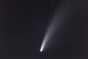 Cometa Neowise
