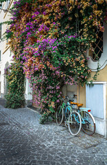 Fototapeta na wymiar bike & flowers summer season at Rome, Italy