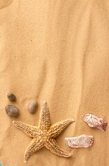 Fototapeta na wymiar Starfish and Shells on Sand