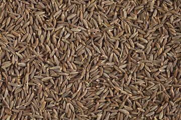 Cumin seeds as a background texture