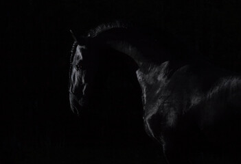lightning over black