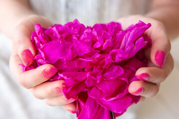 young girl holds a pink peony bud in her palms. Greeting card. Birthday. Mothers Day. Women Day