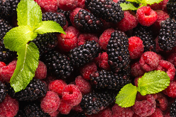 Raspberry, blackberry and mint leaf
