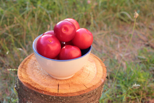 Fresh purple cherry plums in a bowl on the stump in the summer garden. 