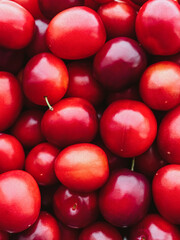ripe red shiny cherry plum close up - vertical food background