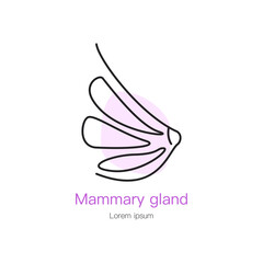 Mammary gland human organ outline icon. Mammary gland vector illustration.