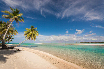 Naklejka na ściany i meble tropical beach with palm trees and lagoon