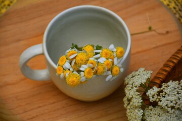 Cup with chamomile flowers inside on wooden board and basket with yarrow on the side.