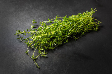 ハーブの一種　タイム　The fragrant thyme is a Labiatae herb