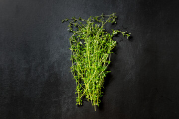 ハーブの一種　タイム　The fragrant thyme is a Labiatae herb
