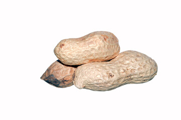 walnut isolated on white background