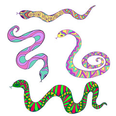 Collection of decorative colorful ethnic snakes, isolated on white background.