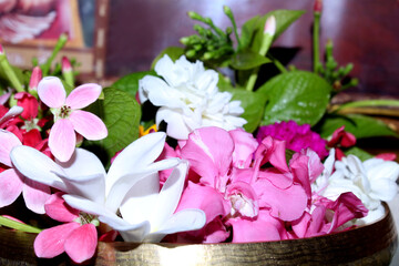 beautiful flowers in pot with rangoon criper, rose and pink oleander flower, decorative background