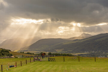 Farm in Aberfeldy during Summer 