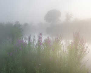 JayOBrien/JaynesGallery/DantaDelimont.com