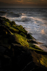 Obraz premium JayOBrien/JaynesGallery/DantaDelimont.com