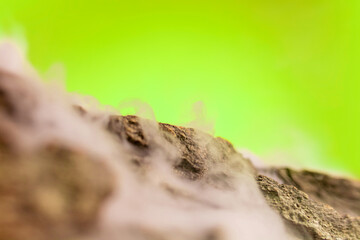 Abstract grunge styled background, wallpaper for device or copyspace for design, advertising. Close up shot, macro of usual things on bright backgrounds. Textured material, smoke. Pattern, cryon style