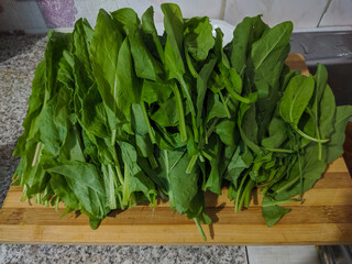 Fototapeta premium Kamen-na-Obi, Altai, Russia - May 23, 2020: Green leaves of sorrel lie on a wooden board. Veiw.