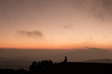 LANDSCAPE 1