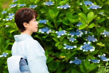 紫陽花の横に立つ着物姿のシニア女性