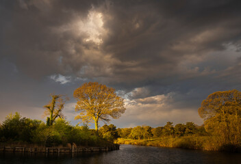 JayOBrien/JaynesGallery/DantaDelimont.com