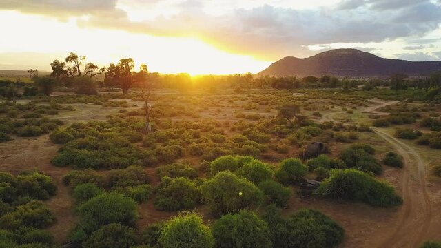 Coucher de soleil avec elephant dans la savane Africaine Kenya