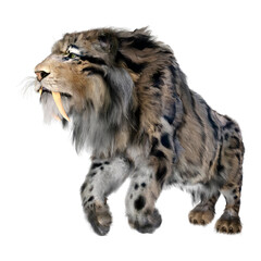 3D Rendering Sabertooth Tiger on White