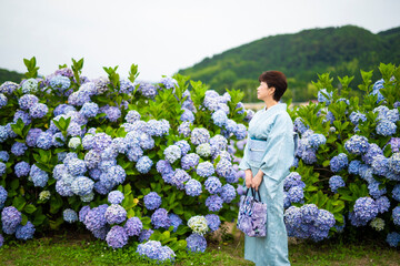 紫陽花の横に立つ着物姿のシニア女性