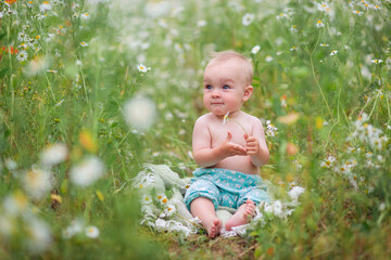 Lovely beautiful baby in daisy flowers in a field. Herbal Chamomile. cute funny girl child with blue eyes smiling.  infant kid boy. nature flowers. happy childhood. Summer time. positive emotion