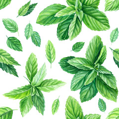 Peppermint leaves. Seamless patterns. Watercolor painting, on isolated background