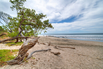 Fototapeta na wymiar Warm vacation day at the sandy beach, Playa Negra, Costa Rica