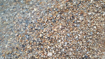 sea shells background