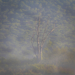 JayOBrien/JaynesGallery/DantaDelimont.com