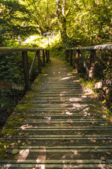 Obraz premium Wooden bridge in the Listorreta natural park in the town of Errenteria in the park of the Peñas de Aya or Aiako Harria park. Gipuzkoa, Basque Country