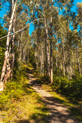 Listorreta natural park trail in the town of Errenteria in the park of the Peñas de Aya or Aiako Harria park. Gipuzkoa, Basque Country