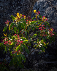 JayOBrien/JaynesGallery/DantaDelimont.com