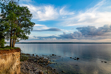 Rocks cliff  with trees . Cloudy Summer Evening on Baltic Sea