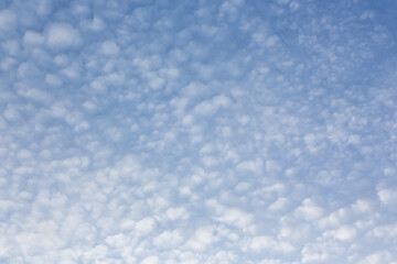 Bright evening blue sky with fluffy clouds.