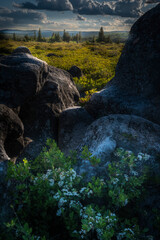 JayOBrien/JaynesGallery/DantaDelimont.com