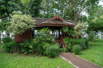 Wooden house surrounded by jungle