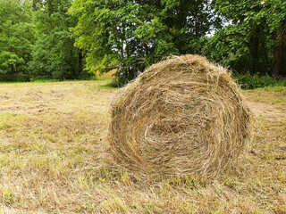 Haystack on the field. Lifestyle, close-up.